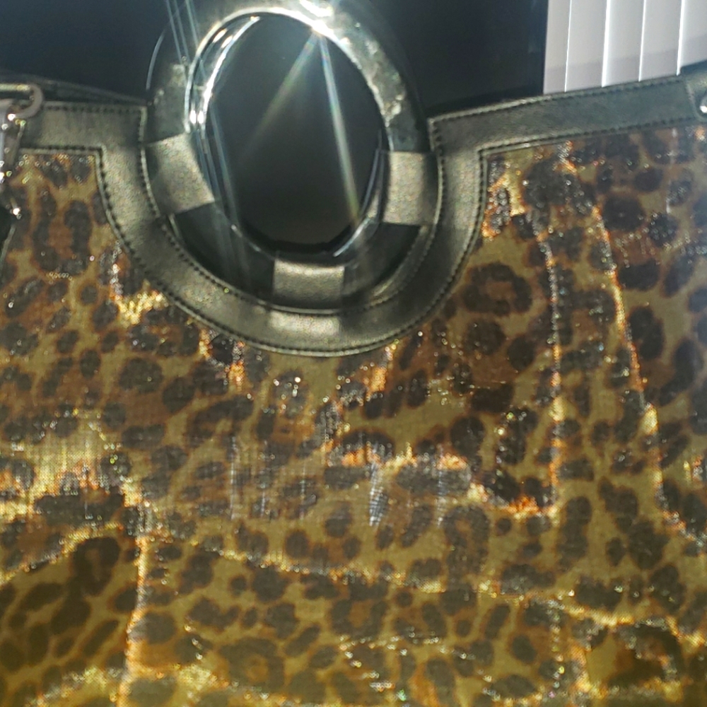 Translucent Bag - image 1